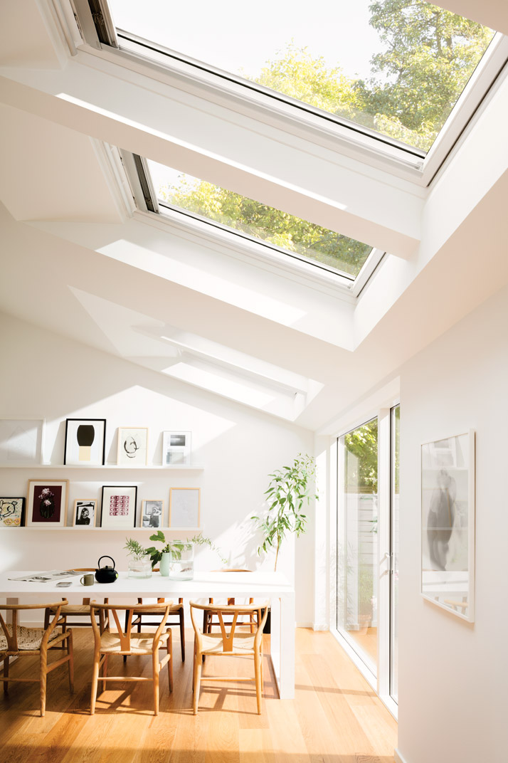 skylights with views on trees with minimal white interior in christchurch